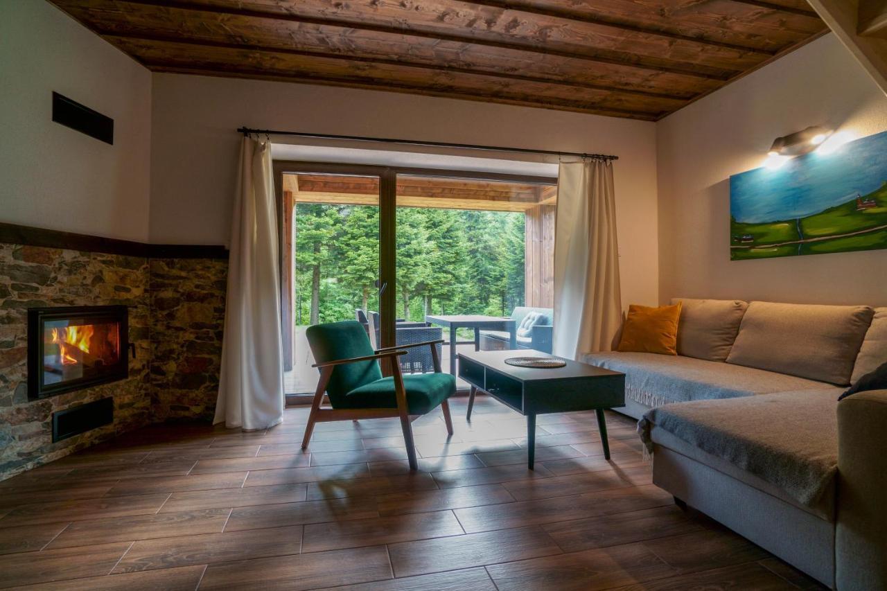 Novosiele Residence - Nad Gorska Rzeka - Lesne Spa Sauna Jacuzzi - Bieszczady Bystre  エクステリア 写真