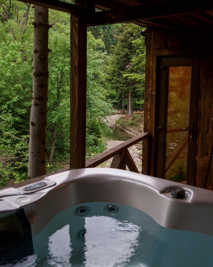 Novosiele Residence - Nad Gorska Rzeka - Lesne Spa Sauna Jacuzzi - Bieszczady Bystre  エクステリア 写真