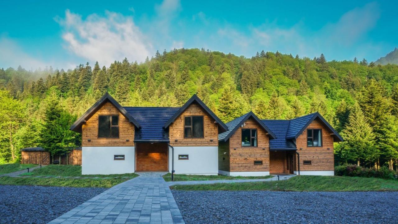 Novosiele Residence - Nad Gorska Rzeka - Lesne Spa Sauna Jacuzzi - Bieszczady Bystre  エクステリア 写真
