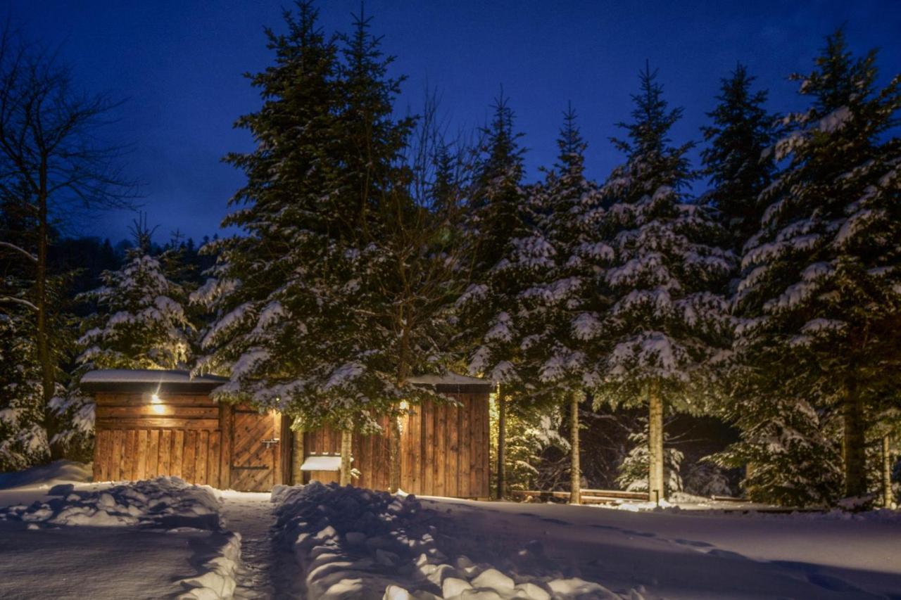 Novosiele Residence - Nad Gorska Rzeka - Lesne Spa Sauna Jacuzzi - Bieszczady Bystre  エクステリア 写真