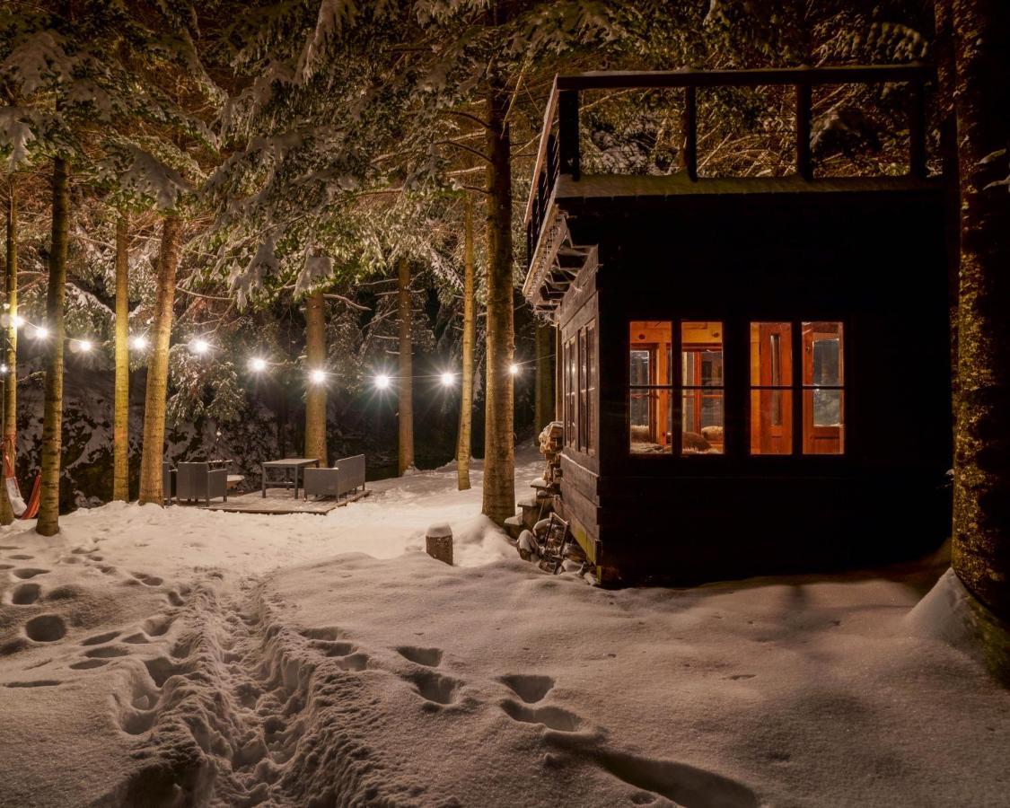 Novosiele Residence - Nad Gorska Rzeka - Lesne Spa Sauna Jacuzzi - Bieszczady Bystre  エクステリア 写真